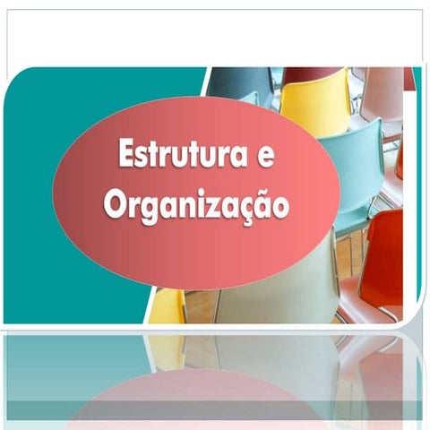 Estrutura e Organização Social 