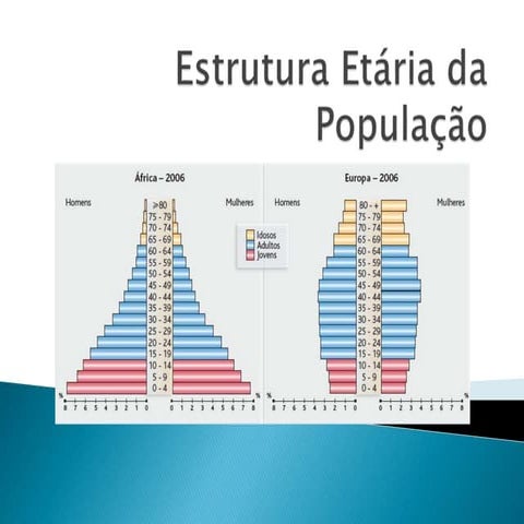Estrutura Etária da População