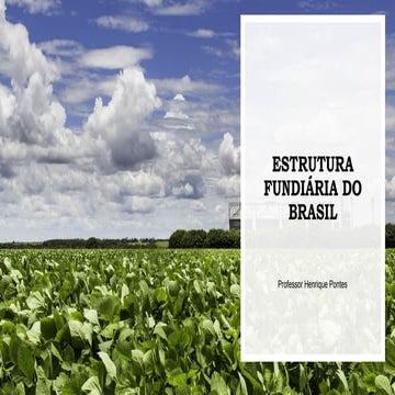 ESTRUTURA FUNDIÁRIA DO BRASIL COMPLETO.pptx