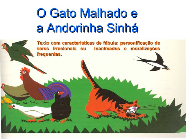 Estrutura Gato Malhado Andorinha Sinha