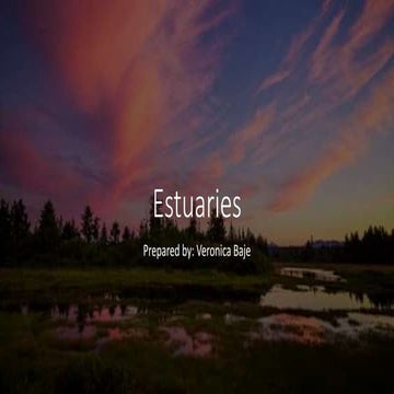 Estuaries