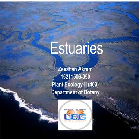 Estuaries