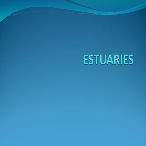 ESTUARIES (1).ppt notes for proper education purpose
