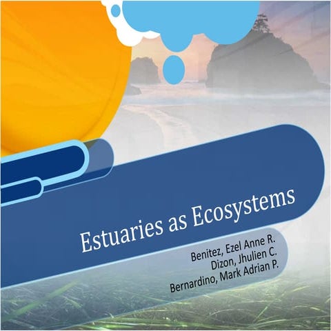 Estuaries: Communities