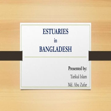 Estuaries in Bangladesh