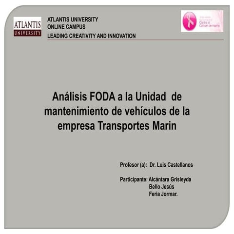 matriz-foda-empresa-de-transporte