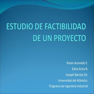 Estudio De Factibilidad De Un Proyecto