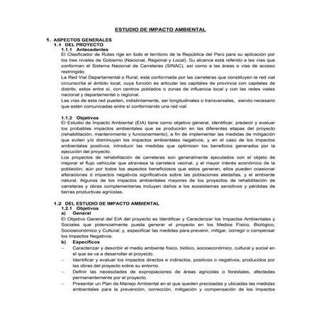 Estudio de Impacto Ambiental.docx