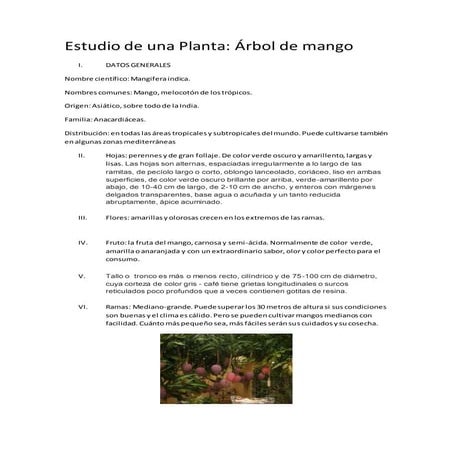 Estudio de una planta