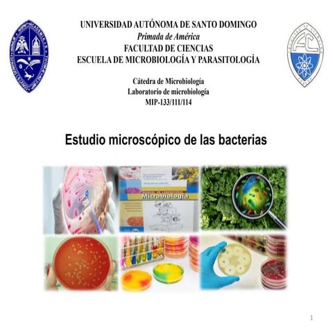 Estudio microscópico de las bacterias.ppt