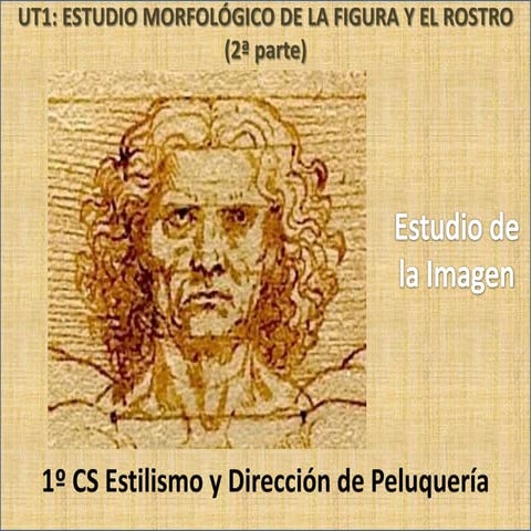 Estudio morfológico de la figura y el rostro 2ª parte