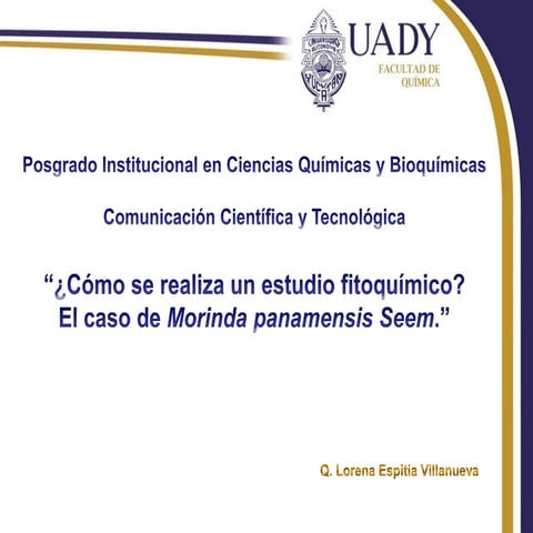 Sobre los estudios fitoquímicos. El caso de Morinda panamensis.