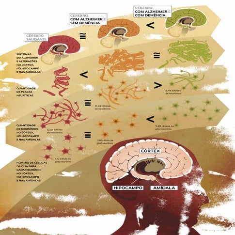 Estudos Alzheimer