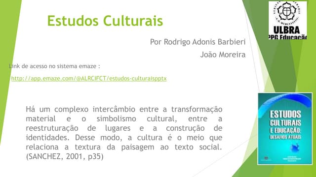 Estudos culturais