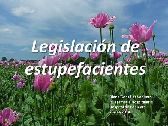 Triptico estupefacientes y pscotropicos | PPT