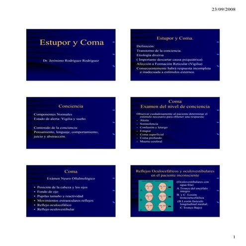 Estupor Y Coma | PDF
