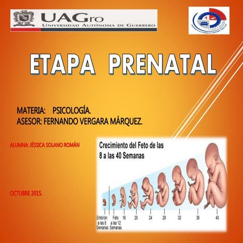 ETAPA PRENATAL.