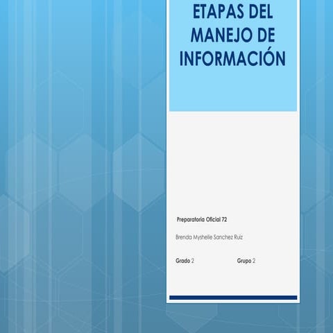   ETAPAS DEL MANEJO. DE INFORMACION