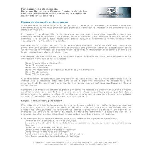 Etapas de desarrollo en la empresa