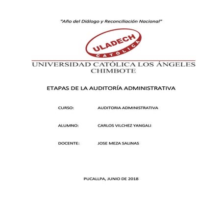 Fases de la auditoria administrativa | PDF