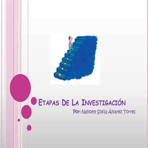 Etapas de la investigación