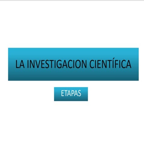 Etapas de la investigacion
