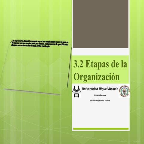 Etapas de la organizacion