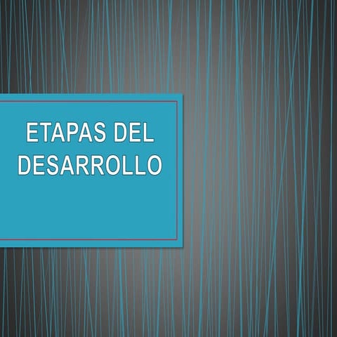 Etapas del desarrollo