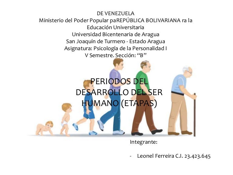 Etapas del desarrollo