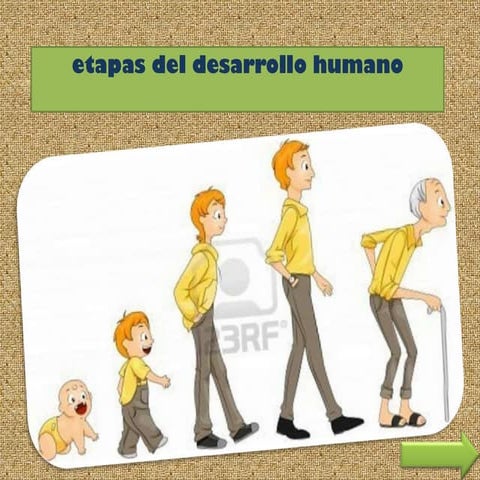 Las 12 Etapas Del Desarrollo Humano Y Sus Características – DNZB