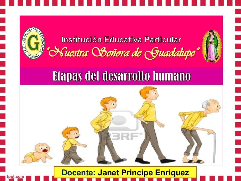 Etapas del desarrollo humano