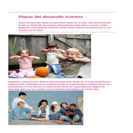 Etapas del desarrollo humano word | DOCX