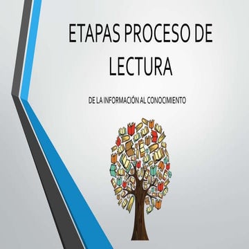 Etapas del proceso de lectura