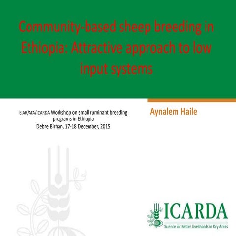 Community-based sheep breeding in Ethiopia: Attractive approach to low input ...