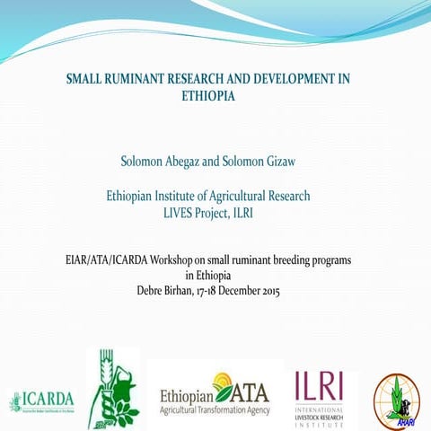 Small ruminant research and development in Ethiopia 