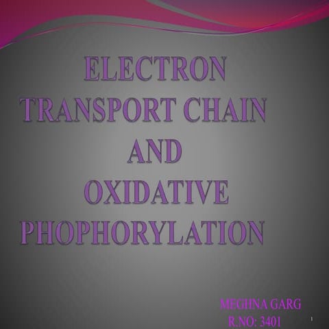 Electron transport chain and Oxidative phosphorylation