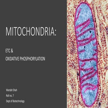 ETC and Oxidative Phosphorylation