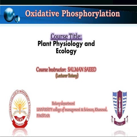 ETC and Phosphorylation by Salman Saeed