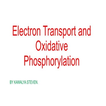 ETC oxidative phosphorylation BPHARM.pptx