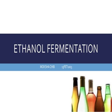 Ethanol fermentation