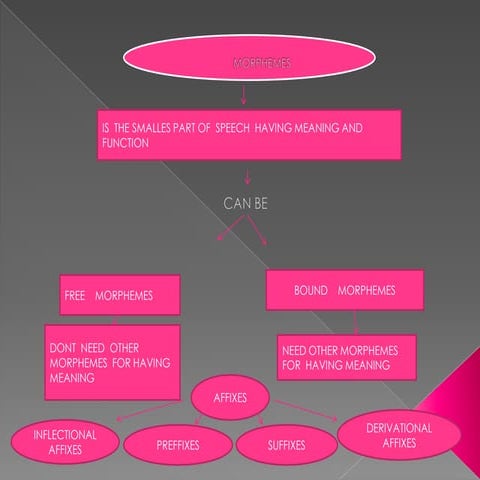morphology and syntax