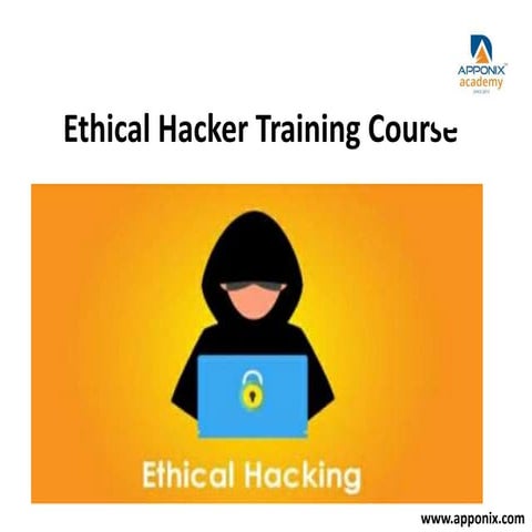 Ethical hacking certification training course (1)