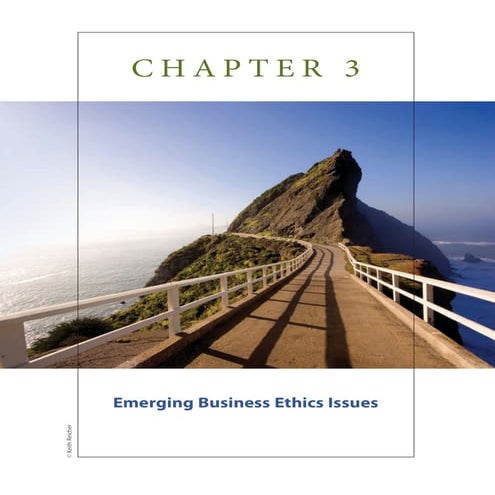 Emerging Business Ethics Issues