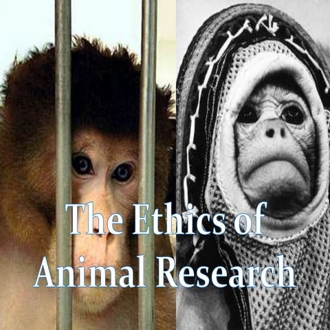 Ethics of Animal Research Laika mission.ppt