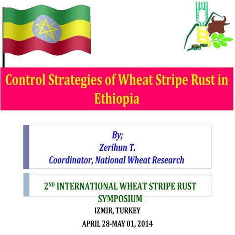 Ethiopia zerihun-2nd intrn wheat yr symposium, 2014