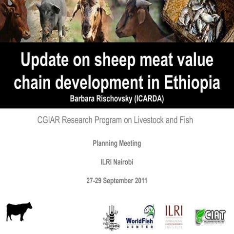 Update on sheep meat value chain development in Ethiopia
