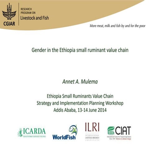 Gender in the Ethiopia small ruminant value chain