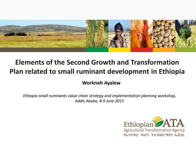 Elements of the Second Growth and Transformation Plan related to small ruminant development in Ethiopia