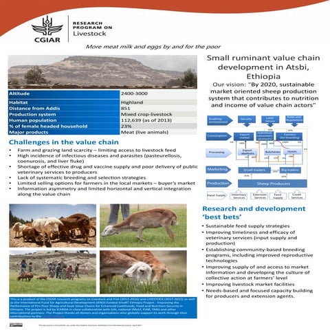 Small ruminant value chain development in Atsbi, Ethiopia