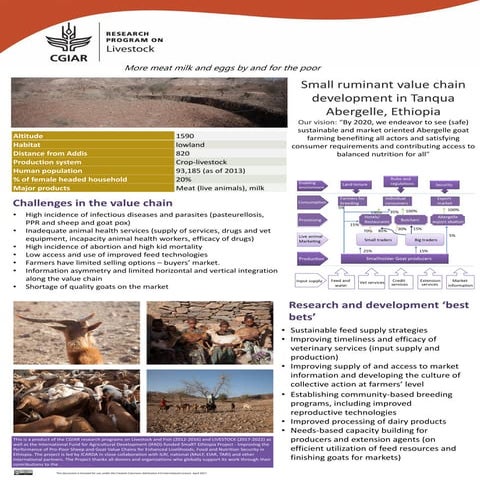 Small ruminant value chain development in Tanqua Abergelle, Ethiopia